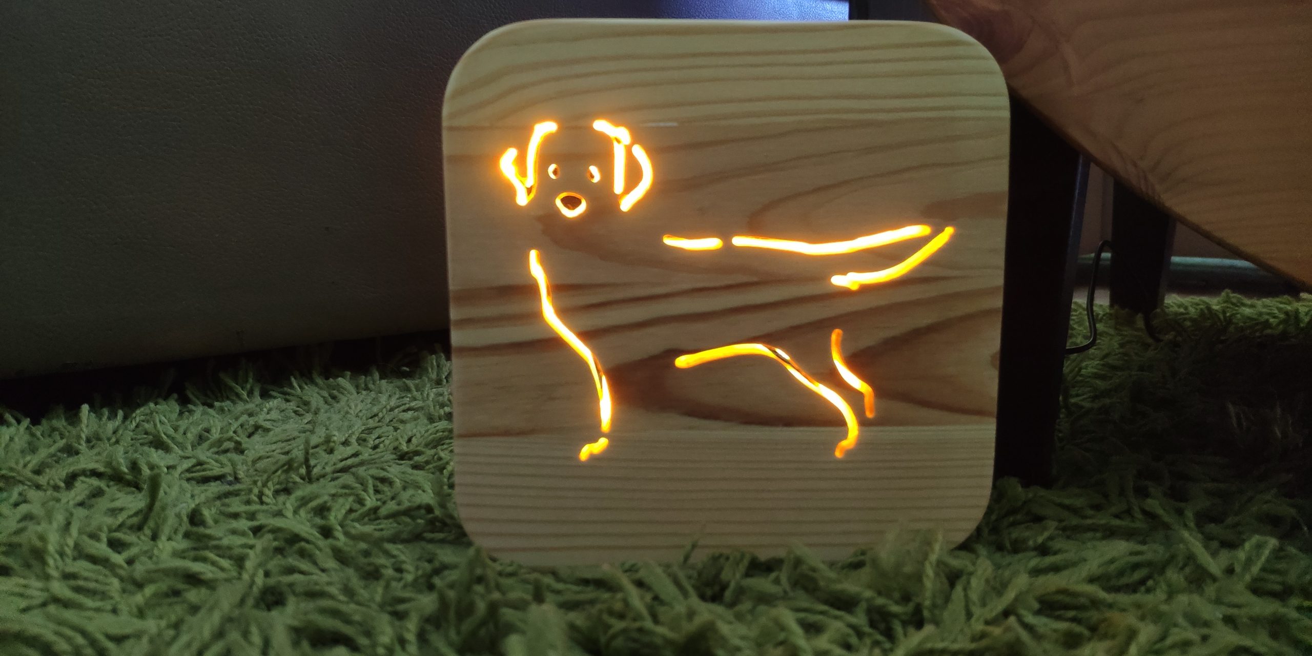 מנורת לד בצורת לברדור